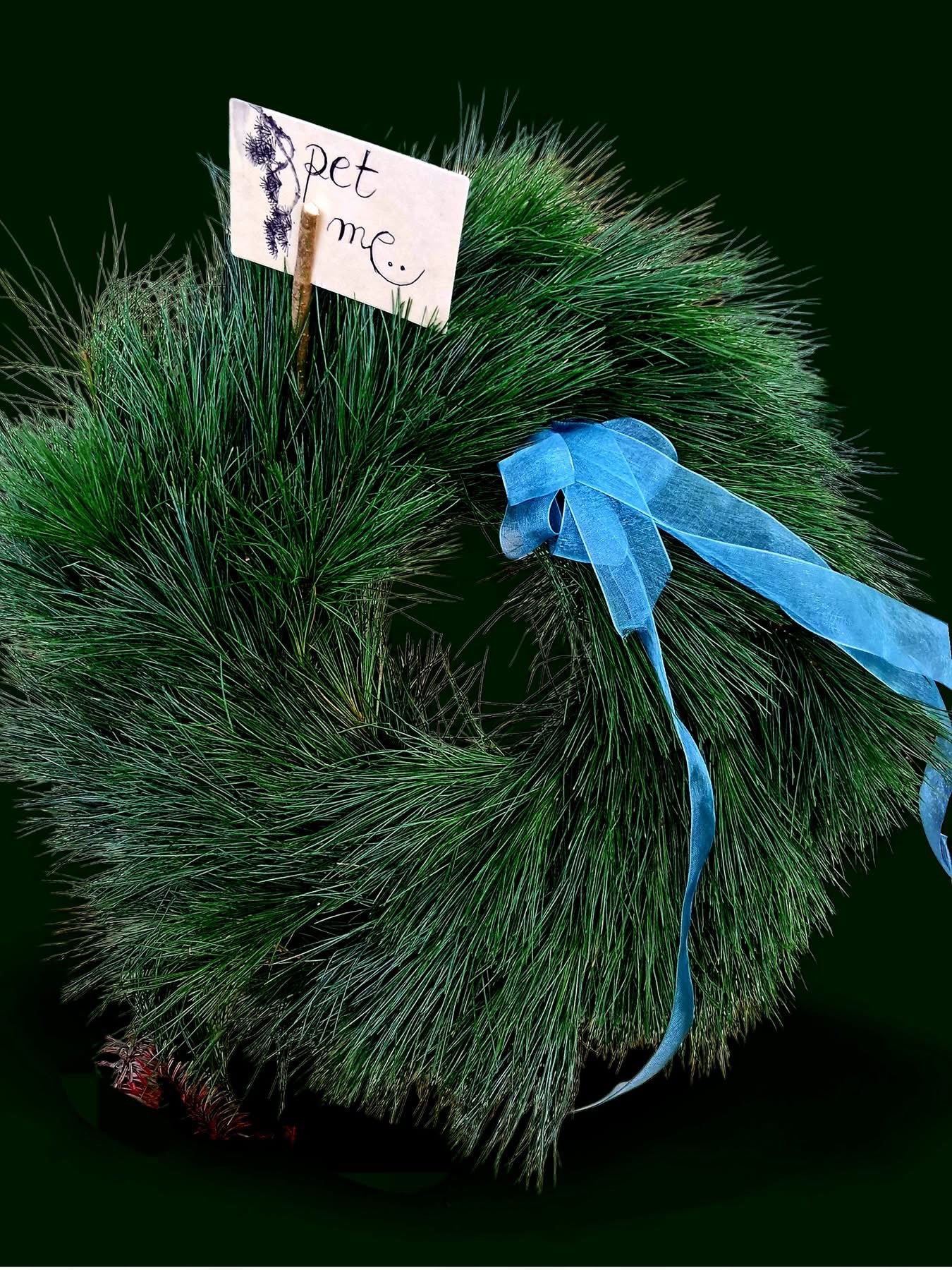 The โPet Meโ Wreath ๐ฒ๐