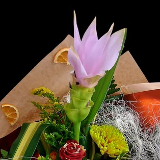 Artistic Form