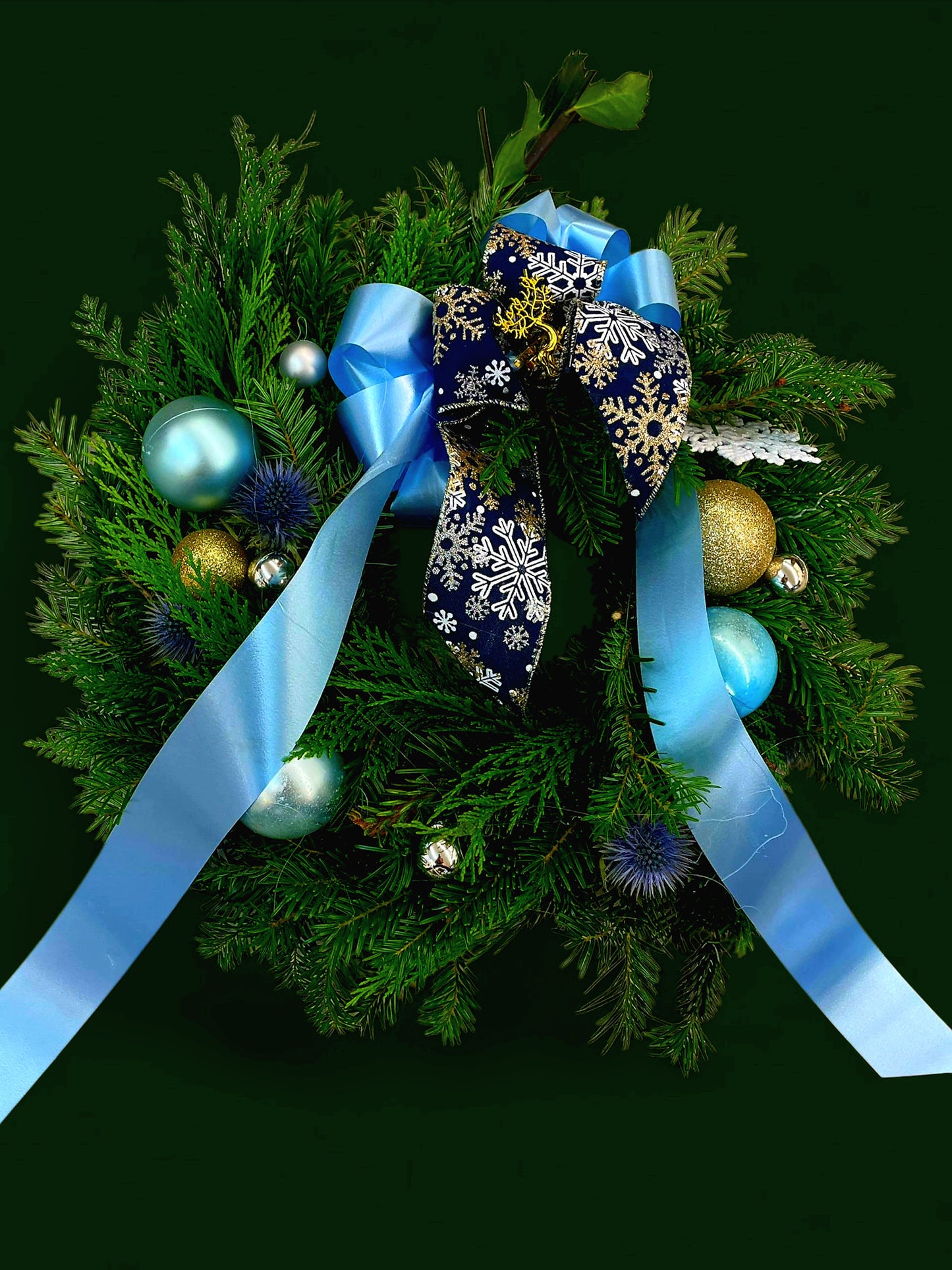 π The Blue Winter Stag