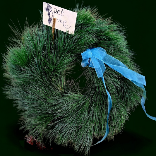 Pet Me Wreath