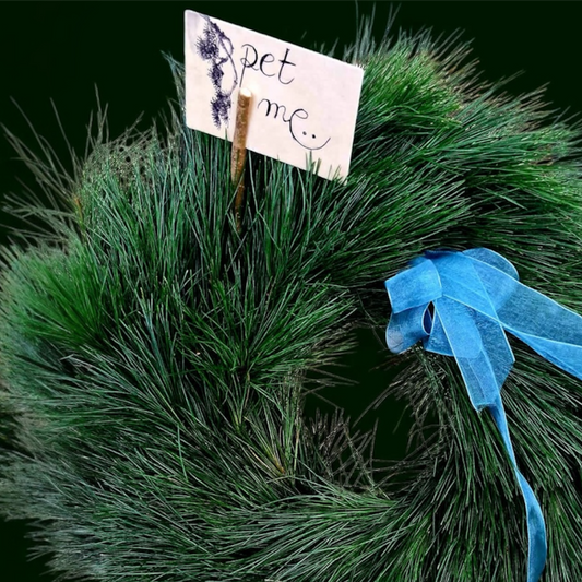 Pet Me Wreath