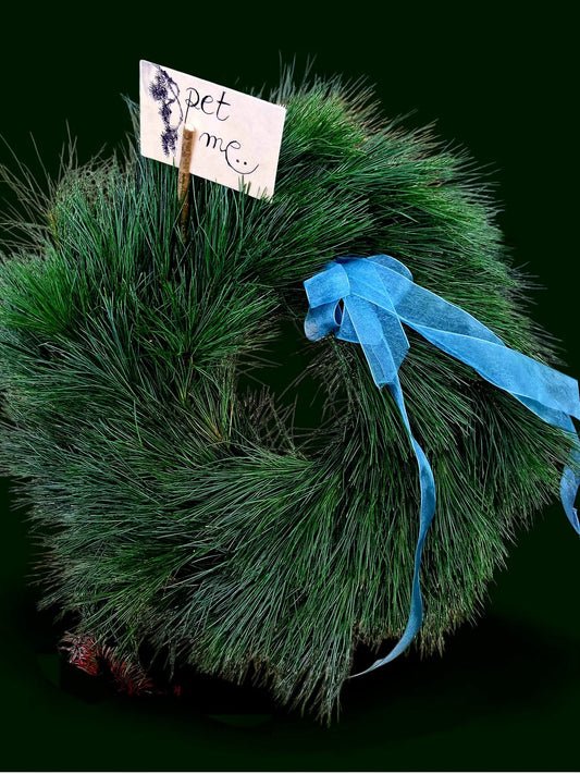 The “Pet Me” Wreath 🌲💙
