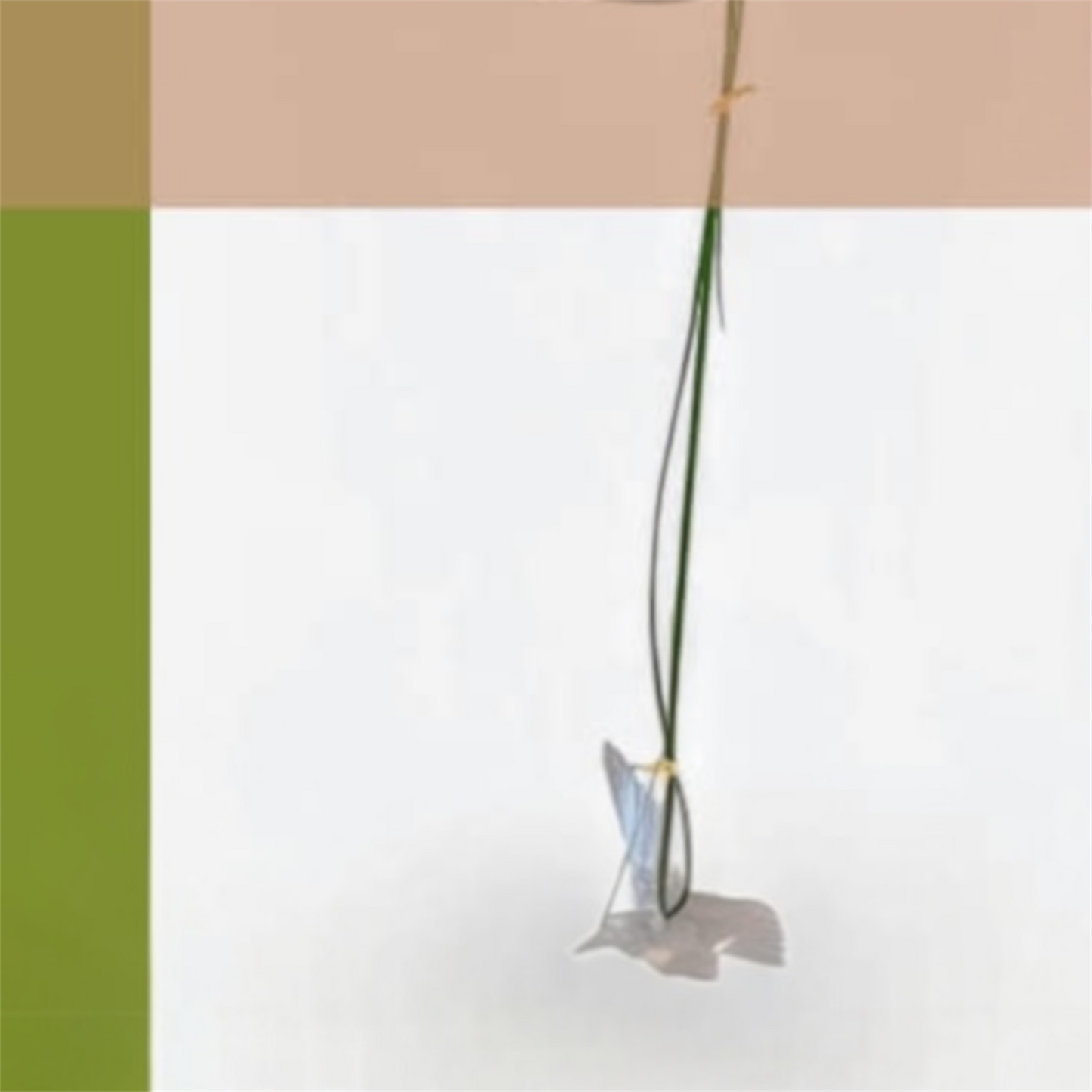 Green Study