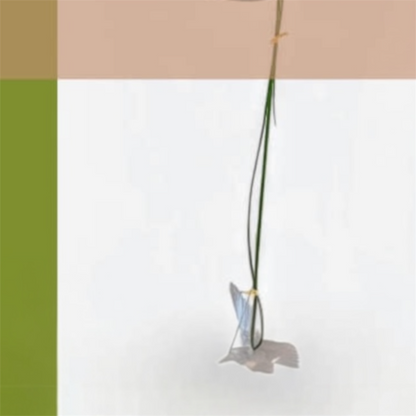 Green Study