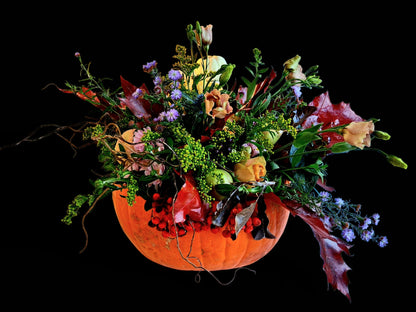 🍂🎃 Autumn Magic in a Pumpkin 🎃🍂