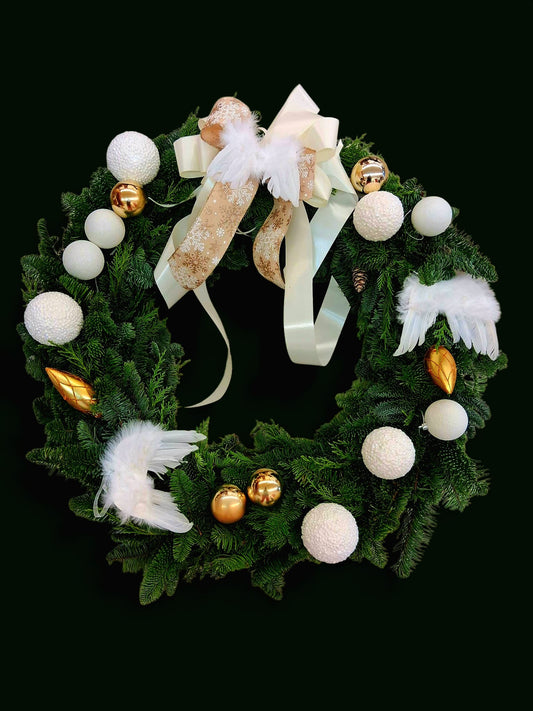 🤍 Angel's Whisper ✨