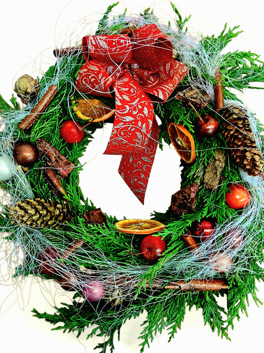 🎄Holiday Warmth ✨