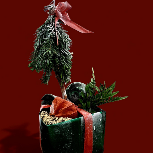 Evergreen Forest Box