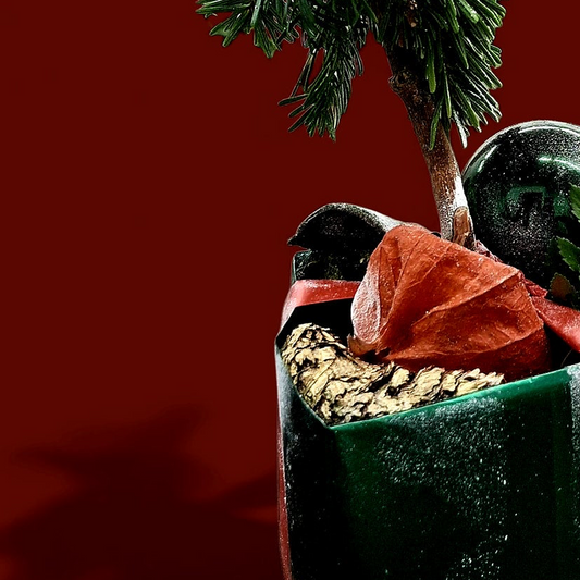 Evergreen Forest Box